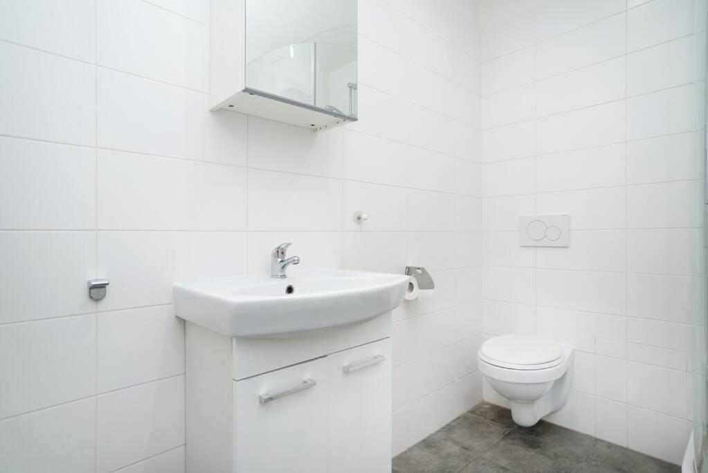 Bright, Spacious Apartment In The Historic Centre Prága Kültér fotó